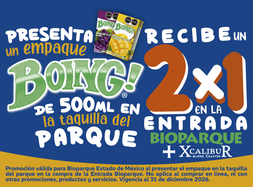 Boing! — 2x1 en Entrada + Xcalibur